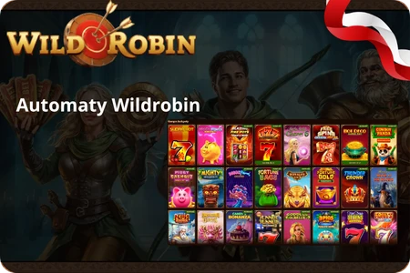 Lobby gier WildRobin Casino z widokiem na automaty